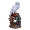 NEMESIS NOW Harry Potter Figurine Hedwig 22 Cm
